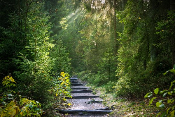 Le chemin vers qui je suis pleinement