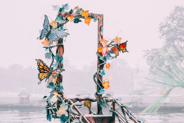 La porte aux papillons